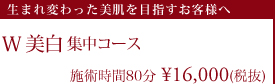 W美白 集中コース